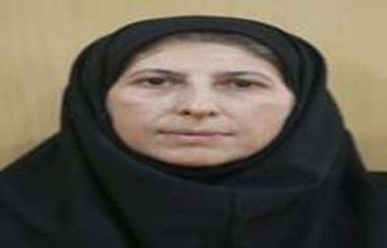 Dr. Massoumeh Rajabibazl